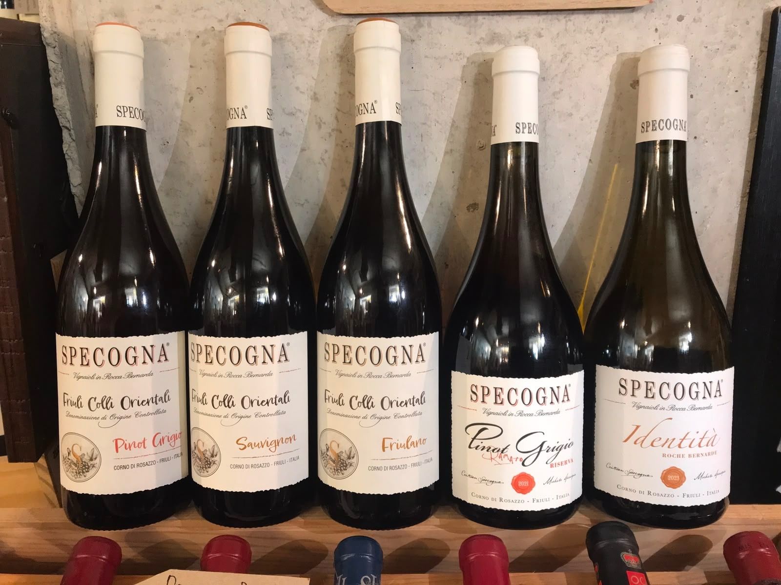 Specogna Discovery Case - Introductory Offer
